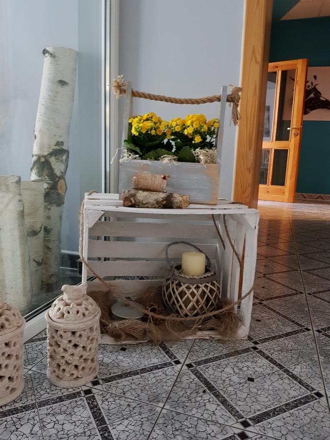 Willa Scandia Duszniki Zdrój Eksteriør billede